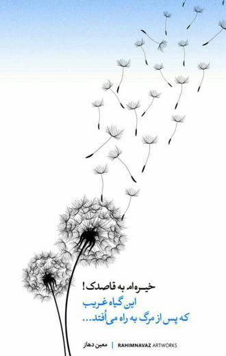 قاصدک